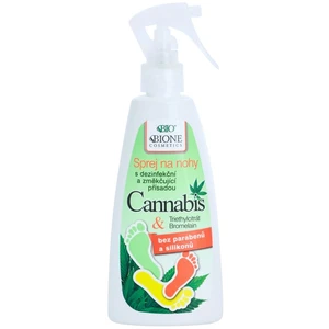 Bione Cosmetics Cannabis sprej na nohy 260 ml