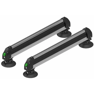 TreeFrog Ski&Snowboard Rack Coffre de toit