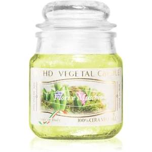 THD Vegetal Fiore E Muschio vonná sviečka 100 g