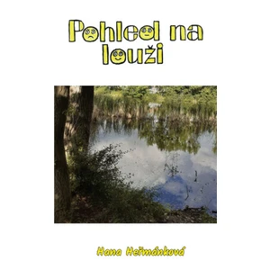 Pohled na louži - Hana Heřmánková