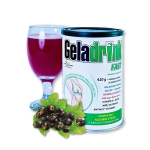 Geladrink GELADRINK FAST nápoj - 420 g Černý rybíz