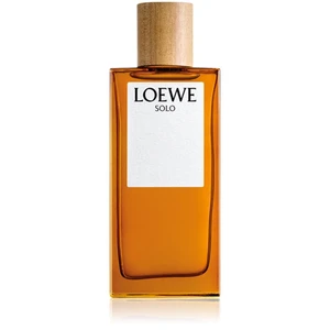 LOEWE - Loewe Solo - Toaletní voda