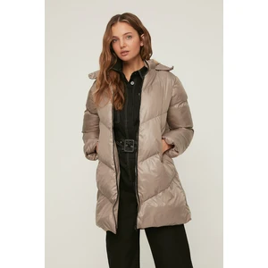 Trendyol Mink Fur Hooded Inflatable Coat