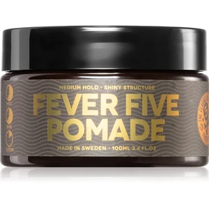 Waterclouds The Dude Fever Five Pomade vlasová pomáda na vodnej báze 100 ml