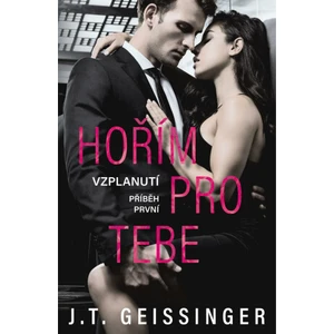 Hořím pro tebe - J. T. Geissinger