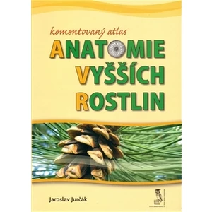 Komentovaný atlas anatomie vyšších rostlin - Jurčák Jaroslav