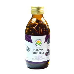 Salvia Paradise Fialová kukurica - Maiz Morado kapsule 120 ks