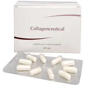 FYTOFONTANA Collagenceutical 60 kapsúl