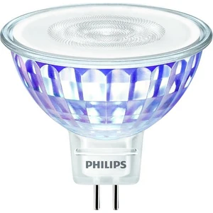 LED žárovka GU5,3 MR16 Philips 7W (50W) teplá bílá (2700K), reflektor 12V 36°