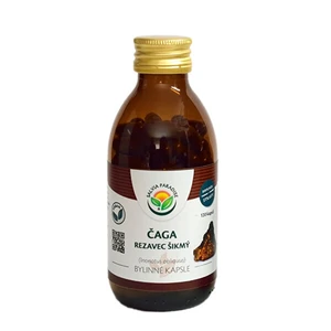 Salvia Paradise Čaga - Rezavec šikmý kapsle 120 ks