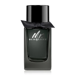 Burberry Mr. Burberry - EDP 30 ml