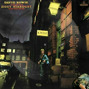 David Bowie - The Rise And Fall Of Ziggy Stardust And The Spiders From Mars (Picture Disc) (LP)