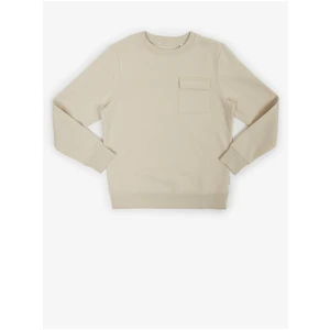 Beige Boys' Sweatshirt with Tom Tailor Pocket - Boys