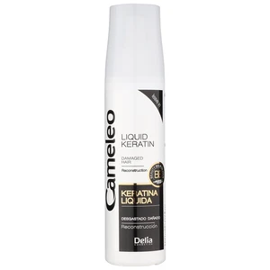 Delia Cosmetics Cameleo BB tekutý keratin ve spreji pro poškozené vlasy 150 ml