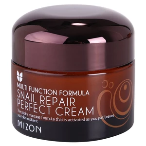 Mizon Multi Function Formula Snail pleťový krém s filtrátom sekrétu zo slimáka 60% 50 ml