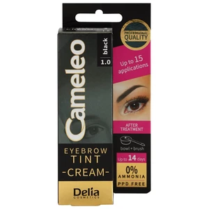 Delia Cosmetics Cameleo profesionálna krémová farba na obočie bez amoniaku odtieň 1.0 Black 15 ml