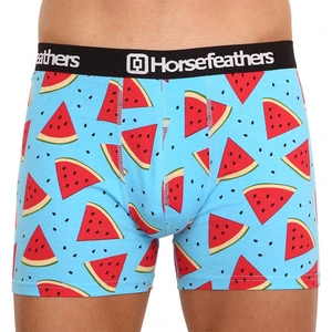 Men's boxers Horsefeathers Sidney Melon