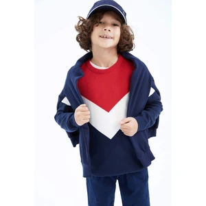 DEFACTO Boy Regular Fit Crew Neck Pullover