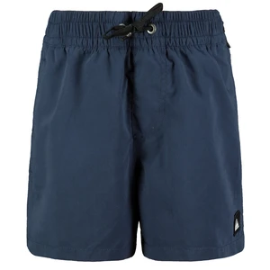 Children's swimming shorts Quiksilver EVERYDAY 13