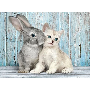 Clementoni - Puzzle 500 Kočka a králík