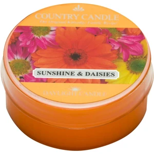 Country Candle Sunshine & Daisies čajová svíčka 42 g