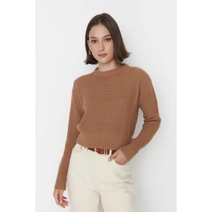 Trendyol Sweater - Brown - Regular fit
