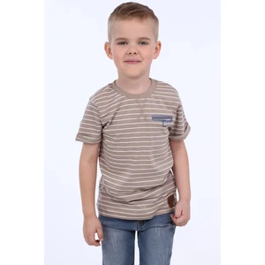 Boys' Beige Striped T-shirt