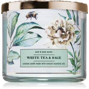 Bath & Body Works White Tea & Sage vonná svíčka s esenciálními oleji 411 g