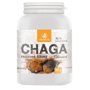 Allnature Chaga 100 kapslí