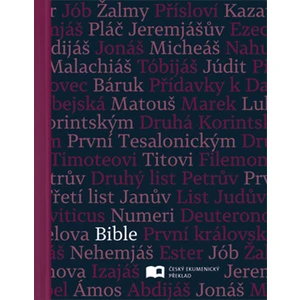 Bible - Český ekumenický překlad s DT