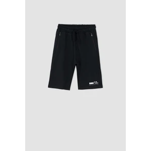 DEFACTO Regular Fit Short