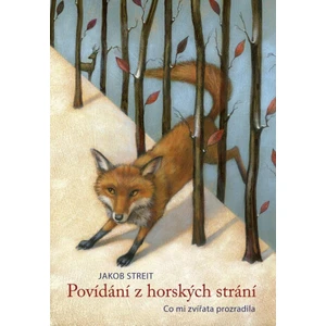 Povídání z horských strání - Jakob Streit