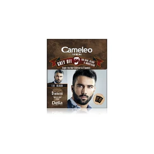 Delia Cosmetics Cameleo Men jednorázová farba pre okamžité zakrytie šedín odtieň 1.0 Black 2 x 15 ml