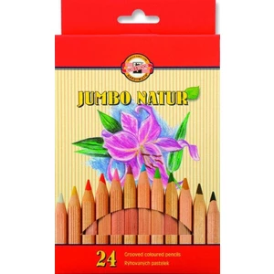 KOH-I-NOOR Jumbo Natur Coloured Pencils Mix 24