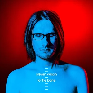 Steven Wilson To The Bone (2 LP)