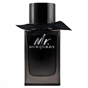 Burberry Mr. Burberry parfumovaná voda pre mužov 150 ml