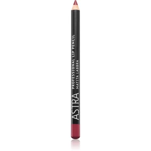 Astra Make-up Professional Lip Pencil konturovací tužka na rty odstín 46 Mauve Dimension 1,1 g