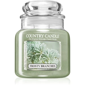 Country Candle Frosty Branches vonná svíčka 453 g