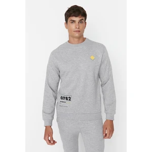 Trendyol Sweatshirt - Gray - Regular fit