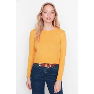 Trendyol Sweater - Yellow - Slim fit