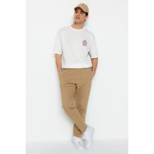 Trendyol Camel Men's Regular Fit Trousers