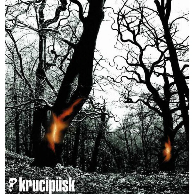 Krucipusk Druide Hudební CD